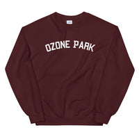 Ozone Park Varsity Crewneck Sweatshirt